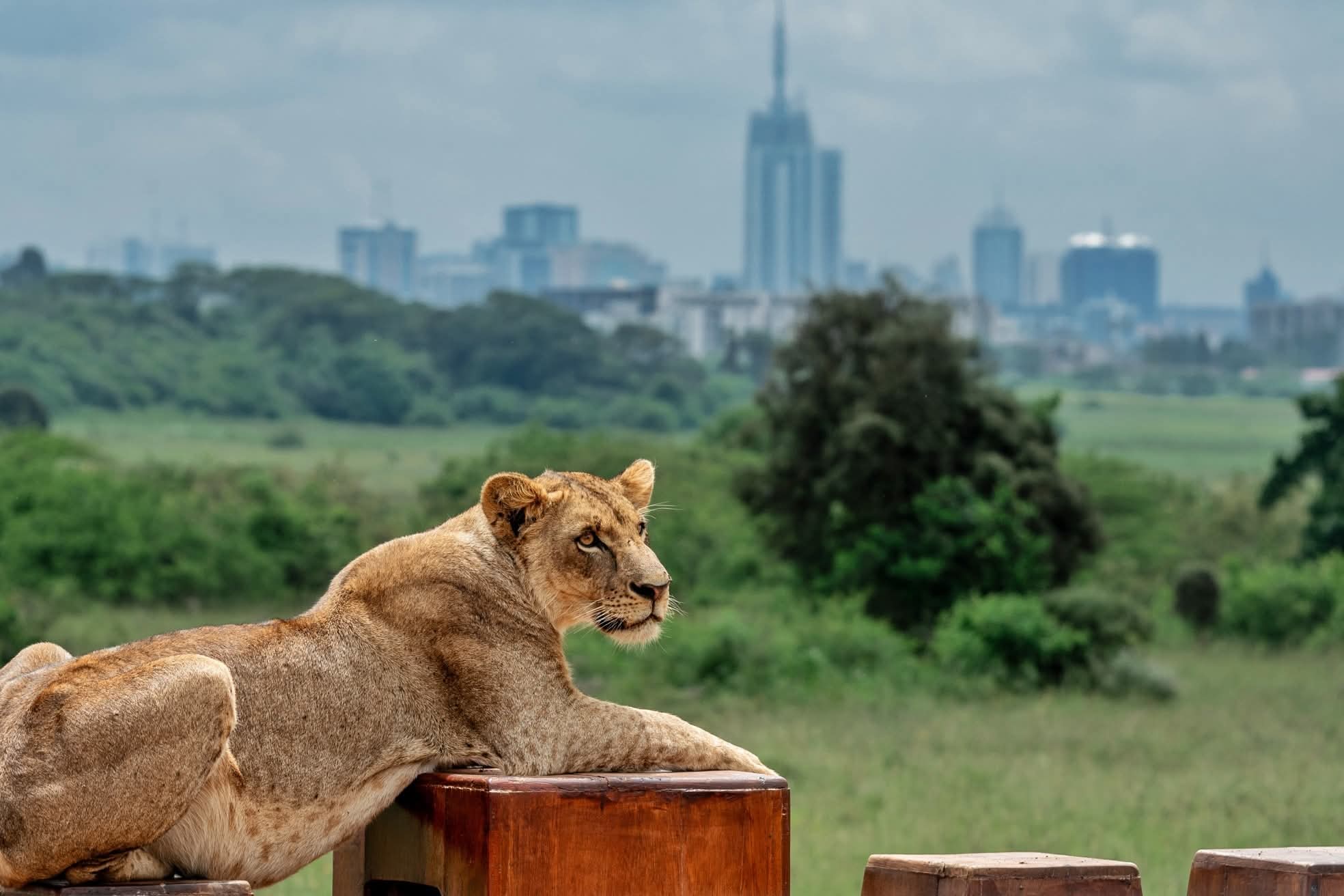 NAIROBI CITY