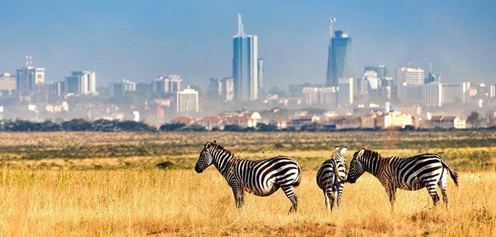Colors_of_nairobi-4